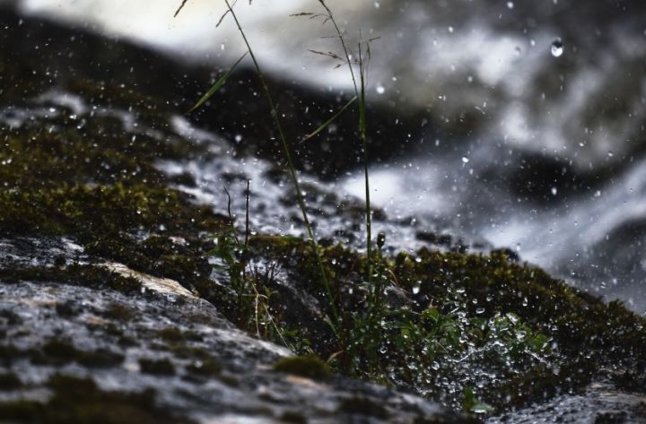 Заморозки, дождь и сильный ветер: прогноз погоды в ЛНР на 26 апреля
