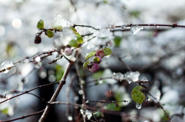 Температура резко упала: прогноз погоды в ЛНР на 27 апреля