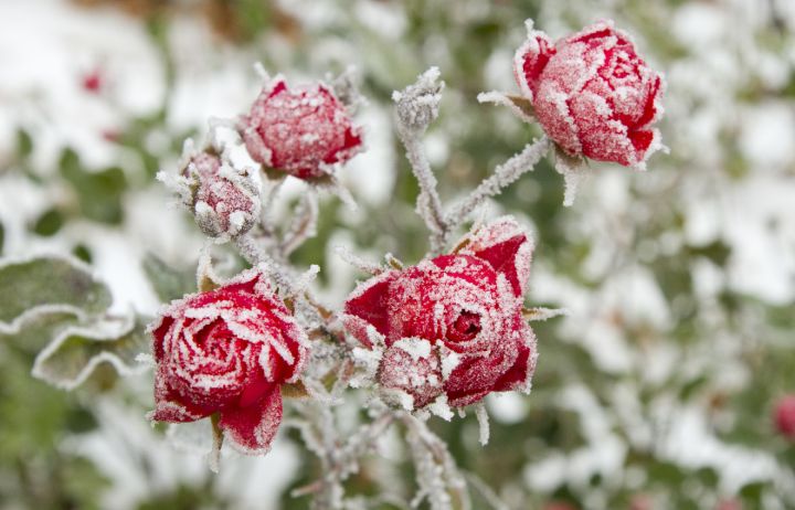 Три дня в ЛНР будет действовать экстренное погодное предупреждение: к чему готовиться жителям? 