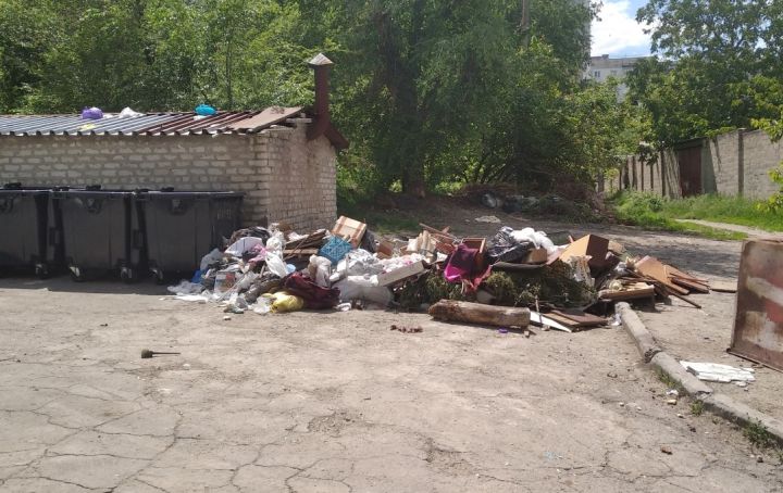 Луганчанка пожаловалась на задержки в вывозе мусора - в ЛЦУО ей ответили