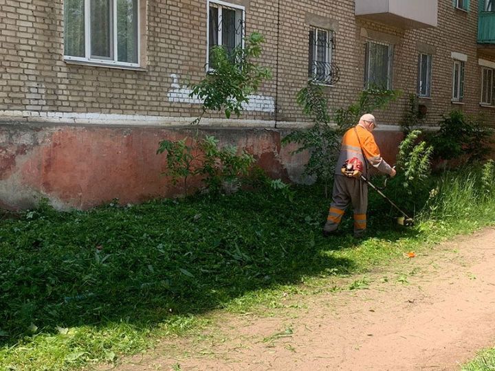 Зелёные дворы: на чьих плечах покос травы в Краснодонском округе?