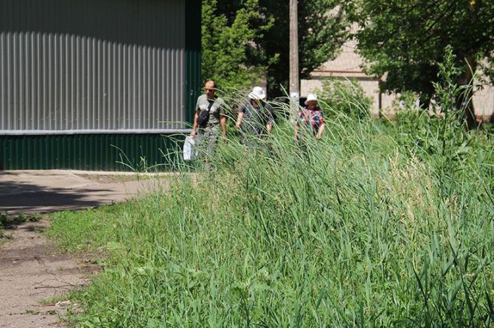 Пока одни косят, другие «косят»: как Свердловск порос бурьянами