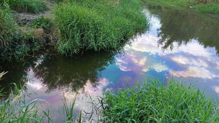 Минприроды ЛНР назвало причину появления маслянистой пленки на Лугани