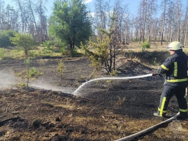Ветер раздул стихию: спасатели ЛНР за сутки потушили 17 пожаров