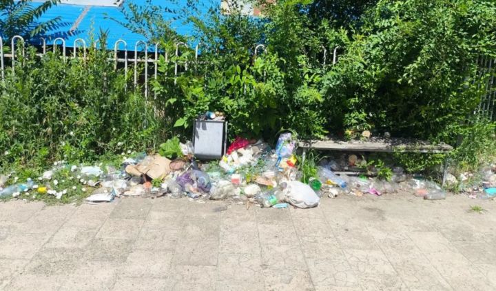 Свалки убрали, но ненадолго? В Луганске назвали главную причину мусорных завалов