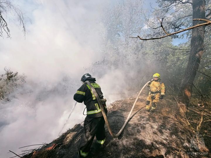 За сутки в ЛНР ликвидировано 23 пожара, выгорело свыше 54 гектаров сухостоя