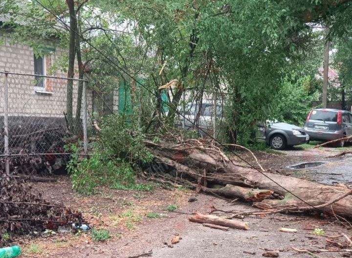 Более 70 поврежденных крыш и поваленные деревья: что натворила непогода в Луганске?