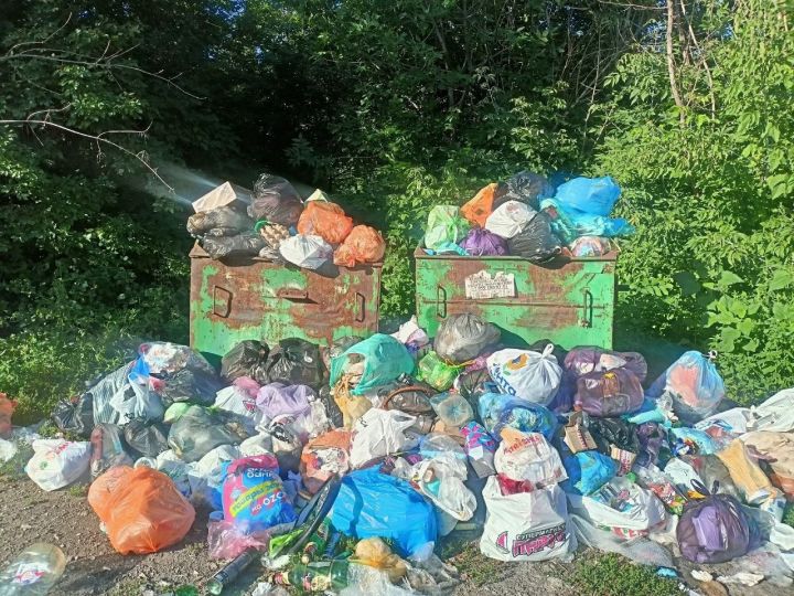 Жители Алчевска пожаловались на необъятные кучи мусора около одного из домов