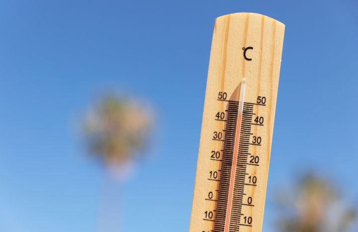 Жара до +42°С ожидается в ЛНР 7 августа: синоптики сделали прогноз по каждому городу ЛНР 