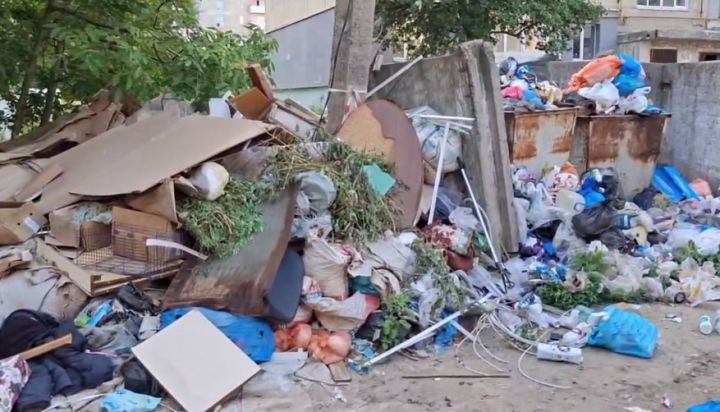 Крысы бегают по двору: в одном из городов ЛНР около многоэтажки развернулся мусорный полигон