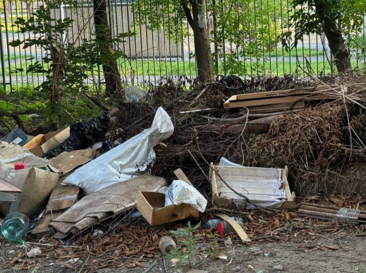 Мусор, крысы и собаки: у детского парка в Луганске образовалась огромная свалка 