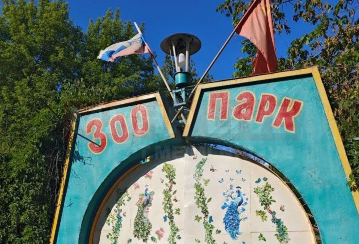 Стало известно, куда могут перевезти луганский зооуголок из парка 1-го Мая 