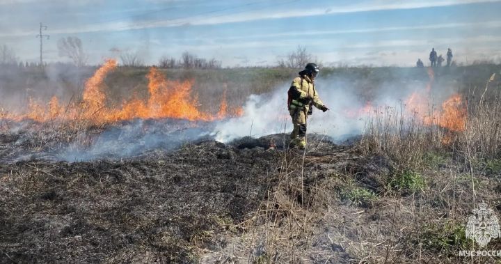 Вся ЛНР в огне: спасатели за сутки потушили более 30 серьёзных пожаров