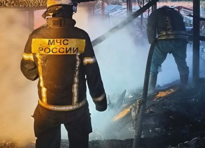 Вернулась за телефоном в горящий дом и погибла: пожар унёс жизнь женщины в ЛНР
