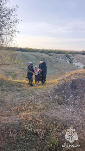 Пожилая луганчанка упала в овраг на Мирном
