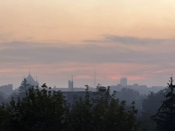 В Роспотребнадзоре назвали причины многонедельного задымления в Луганске