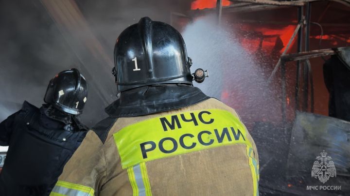 Беспилотник атаковал автобус на трассе у Красного Луча