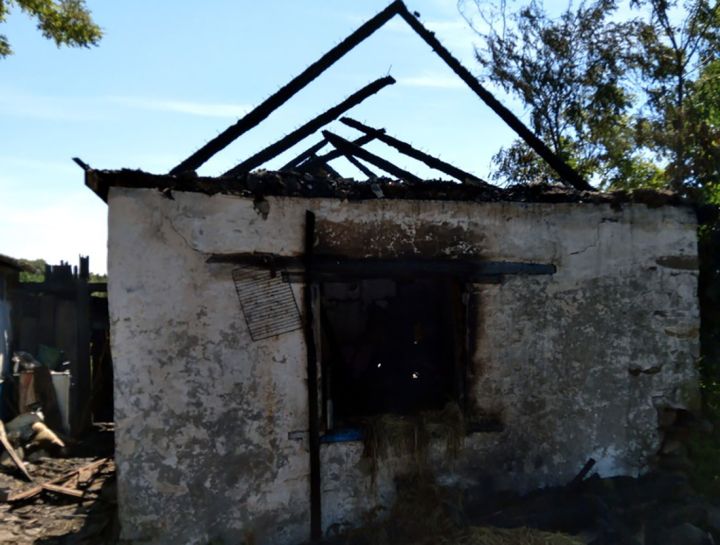 В Нагольно-Тарасовке на пожаре пострадала женщина