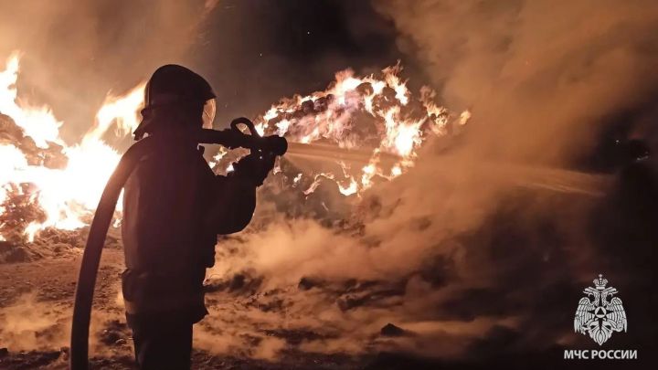 Крупный пожар в ЛНР: огонь уничтожил 100 тонн сена