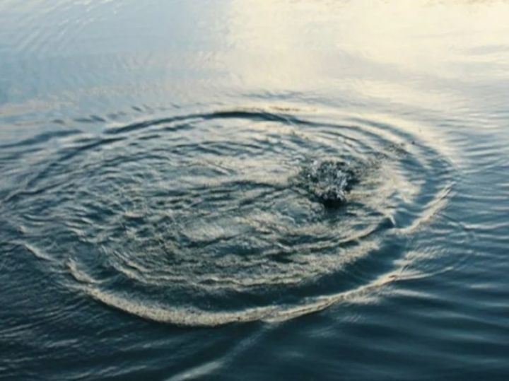 В алчевском ставке утонула девочка