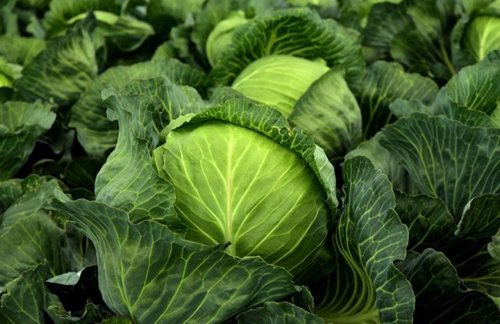 Капуста подешевела, колбасы стали дороже: как изменились цены в ЛНР в I декаде июня