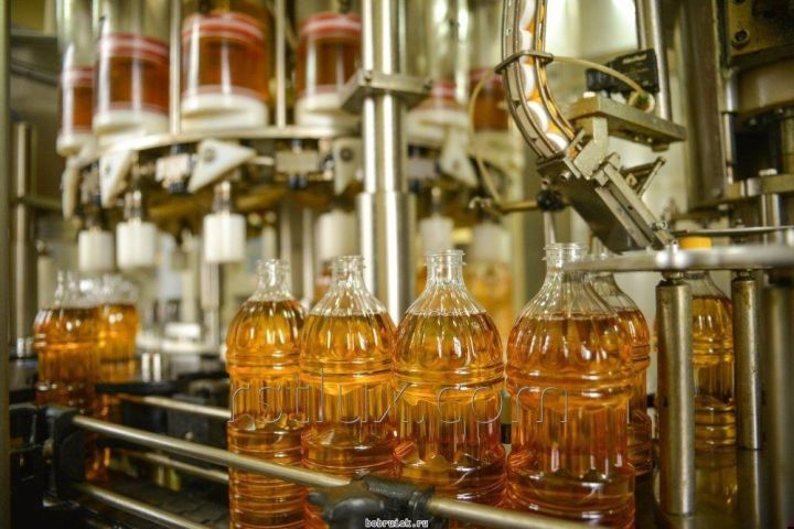 До конца года в ЛНР начнут работать три маслозавода