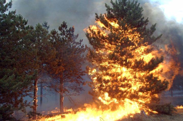 В Счастье случился пожар