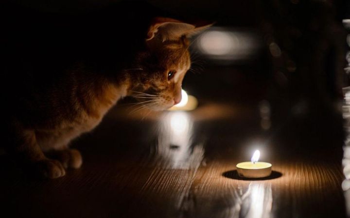Некоторые улицы Свердловска останутся без света 21 июня