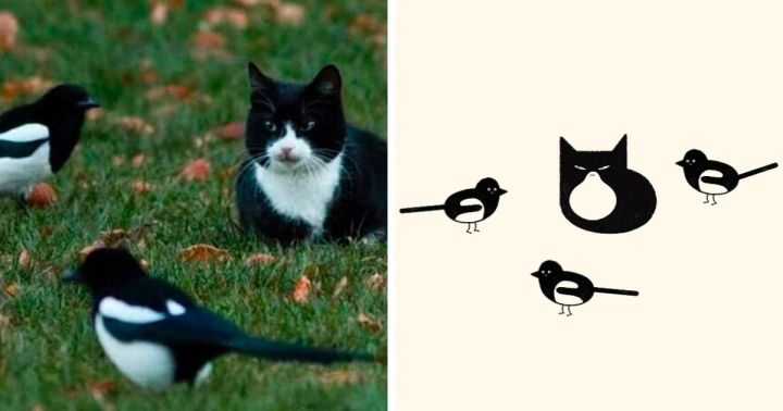 Из мемов - в картины: смешные карикатуры котиков от художника из Латвии