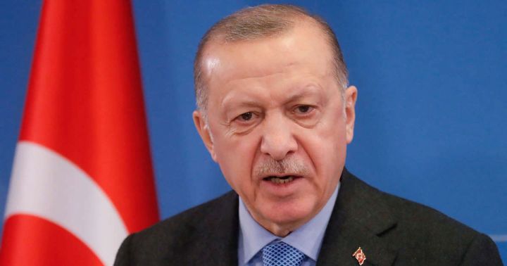 Президент Турции поддержал введение смертной казни за поджог леса