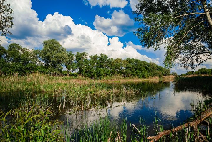 В Сватово утонул 58-летний гражданин