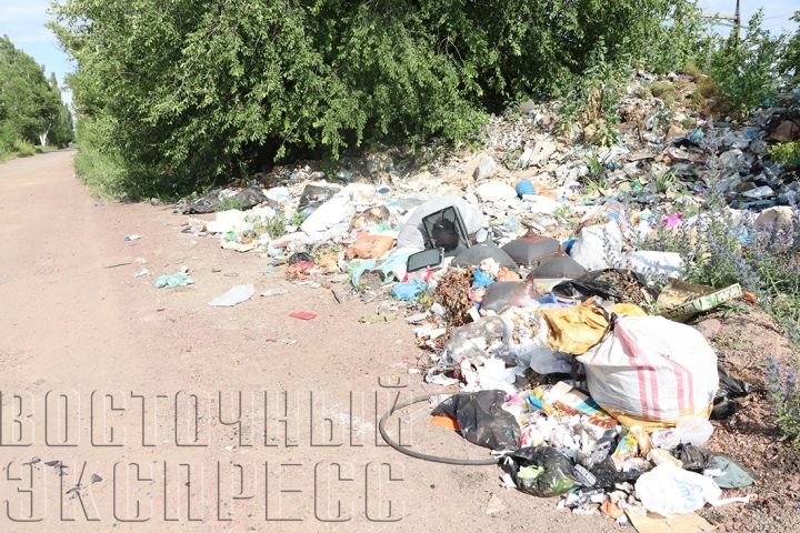 Стихийные свалки: как Свердловск тонет в мусоре