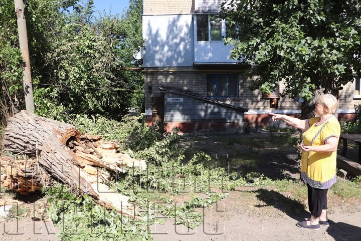 Проблему обещали устранить: В Свердловске чинят канализацию
