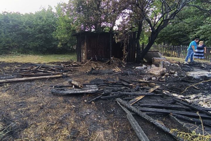 Пожарные спасли от огня Провальский заповедник в Свердловском районе