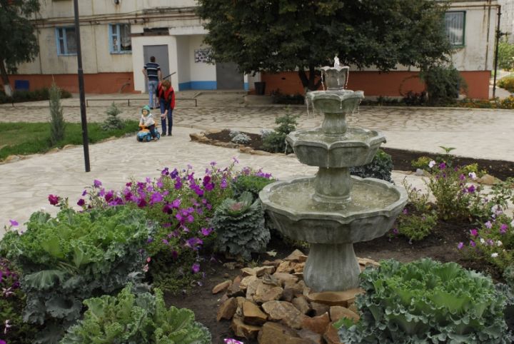 Оазис красоты среди  городских джунглей