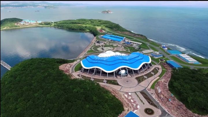 В океанариуме на острове Русский семь сотрудников заразились опасными инфекциями