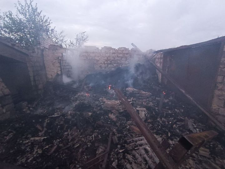 В Свердловском районе от огня спасли стадо коров (фото)