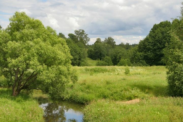 В Александровске утонул неизвестный мужчина