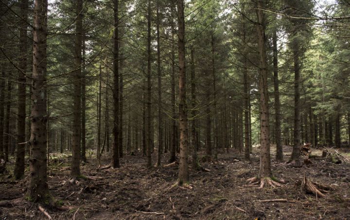 Четыре человека подорвались на неизвестном устройстве в Новоайдарском районе