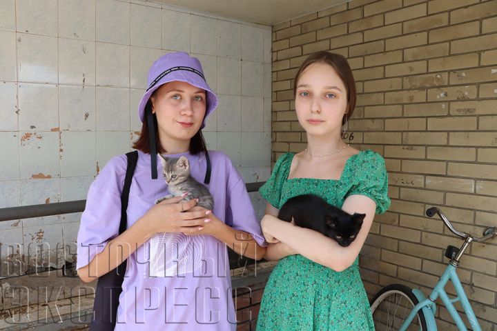 Творить добро не трудно: как свердловчане спасают жизни братьям нашим меньшим