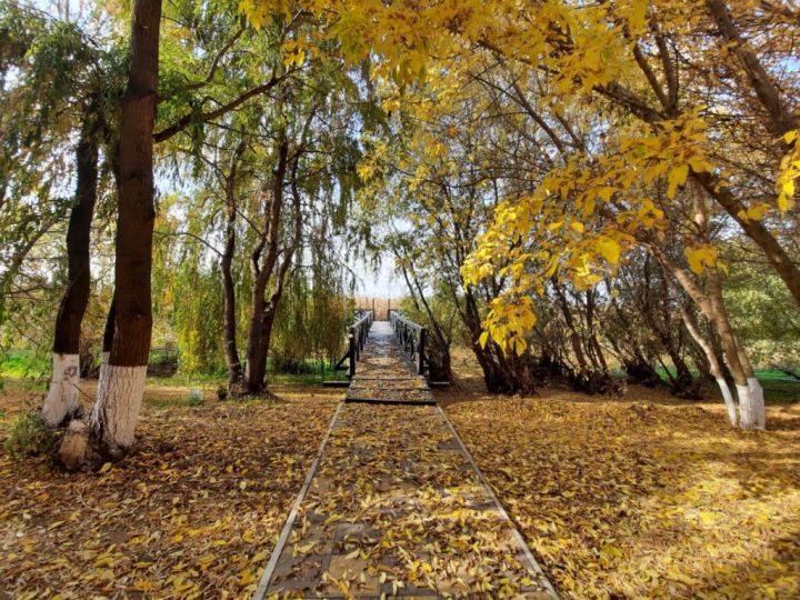 Постепенное потепление прогнозируют синоптики в ЛНР