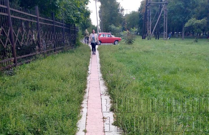 Дорога в Свердловске, ведущая к аллергии
