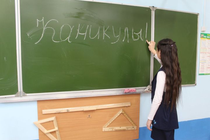 Школьников в ЛНР отправили на каникулы в связи с проведением референдума