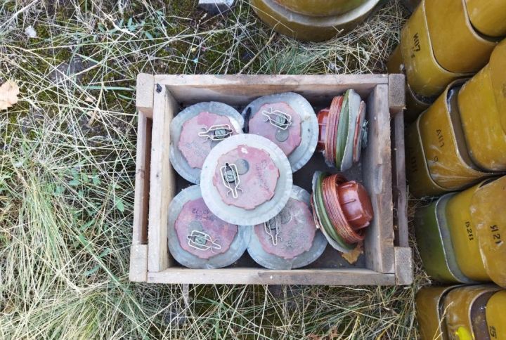 В Лисичанске найдены боеприпасы