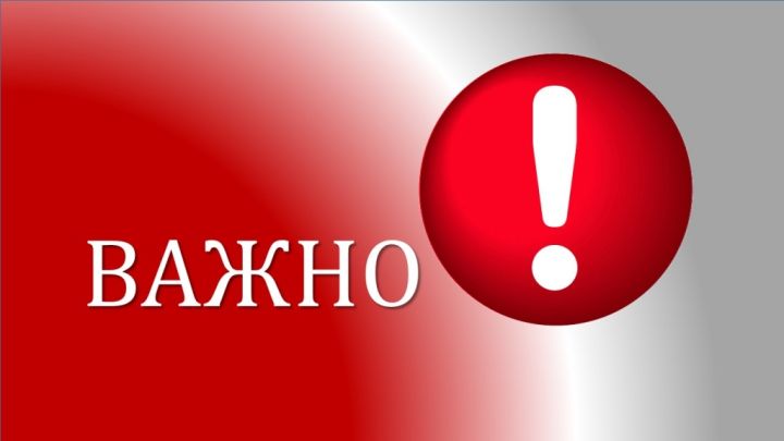 Когда появится интернет и нужно ли покупать новые SIM-карты: оператор «МКС» отвечает на вопросы абонентов