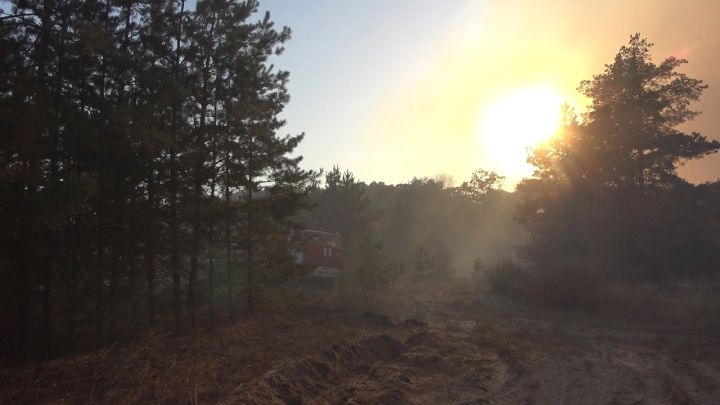 Два грибника заблудились в Станично-Луганском районе