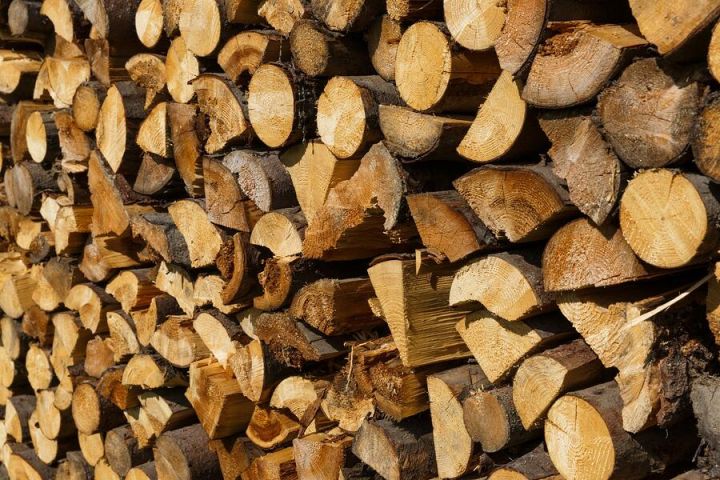 Зима близко: В Румынии установили потолок цен на дрова
