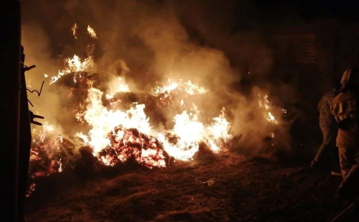 Спасатели потушили пожар в Калиново