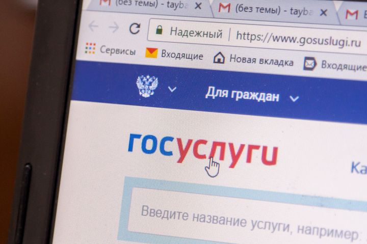 В ДНР в следующем году планируют запустить портал «Госуслуги»