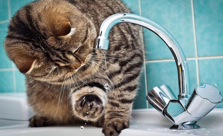 Некоторые улицы Луганска в очередной раз остались без воды